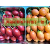 樹蕃茄/紅寶石/黃金樹番茄(cà chua Tamarillo)/籽每份25粒；不含運滿100才出貨
