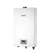 (全省安裝)林內12公升智慧控溫強制排氣FE式熱水器天然氣RUA-1200WF_NG1