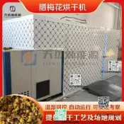 臘梅花轟前機低溫無硫臘梅花轟前裝置大型熱泵素心臘梅鮮花轟前房