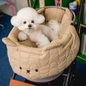 【逗陣選物 | 精選】日韓寵物推車貓窩墊 狗窩墊 ins風小熊寵物犬推車墊 四季通用 狗窩 貓窩 可拆洗軟墊 寵物車載墊