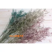 [時花] 卡斯比亞 乾燥花束/婚禮佈置/手作素材/攝影道具/新娘捧花/新娘頭圈客製