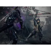 大飛貓游戲社~仁王2：完整版  v1.28.08|容量76.4GB|官方簡體中文|支持鍵盤. 滑鼠. 手柄