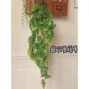 龜背葉 藤蔓 壁掛 蕨類 蕨 假蕨類 假植物 仿真植物 假花 仿真花 仿真葉 綠色植物 葉子 假葉子 裝飾 佈置 ins
