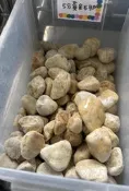 黃金石卵 5分園藝用水族石頭 盆栽小石頭1包 黃金石 碎石 黃金卵石 石頭 盆栽鋪面水族造景