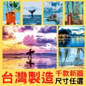 釘好內框🔥Manto【台灣製造】DIY數字油畫(40x50&50x65)大尺寸 千款任選#C 衝浪