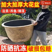 🥳丨臺灣優選🥳超厚大花盆特大號樹脂庭院荷花睡蓮大水缸栽樹養魚大缸鐵樹