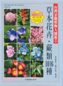 【三民網路書店】台灣景觀植物大圖鑑05：草本花卉‧蕨類1016種 作者：薛聰賢;楊宗愈