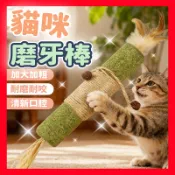 【現貨秒發】巨無霸貓薄荷棒  貓玩具 貓木棒 逗貓棒 貓咪磨牙玩具 貓薄荷 貓咪超耐咬玩具 蟲癭果 貓零食 貓薄荷