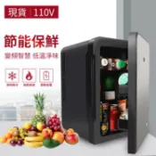 林之舍家居 【台灣現貨】10L車載冰箱車載小冰箱迷你小型家用宿舍租房學生單人用車家兩用冷藏冷凍