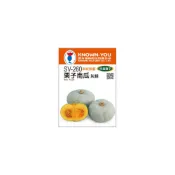 (店+)(SV-260)栗子南瓜-灰綠 蔬果 種子 小包裝 本包種子約6粒