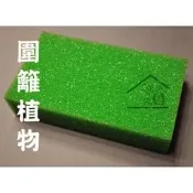 ◆SOFIAの樂園◆ 模型造景系列 圍籬植物 綠色長方綠色海綿
