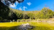 【Lion Travel 雄獅旅遊】高屏旅遊｜微笑藍皮.南橫雲巔秘境全覽.美人湯溫泉.自助buffet吃到飽.高鐵回三日 出發地點：台北、桃園