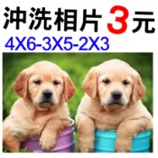 快速出貨4X6-3X5-2X3-3元拍立得 印相片 洗相片洗照片沖洗相片 數位相片 全家福 婚紗照 慶生照 彌月卡