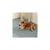 (店+)【dfang 迪邦】現貨韓國製 dfang迪邦 寵物降溫遊戲地墊(耐刮靜音) 寵物地墊 止滑〈小毛兔寵物家〉