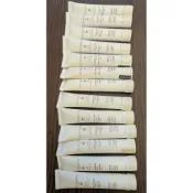 Omnisens Paris巴黎寶媞 效期2027年 日本飯店帶回 白茶旅行 法國製沐浴精/潤膚乳/洗髮露/護髮素