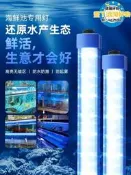 【快速出貨 免運】海鮮池燈魚缸專用Led防水220酒店魚池藍白光水產水族養魚照明