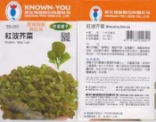 【尋花趣】貝比菜 紅菠芥菜 baby菜 種子 20天即可採收 辦公室或單身的最佳選擇