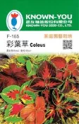 【尋花趣】彩葉草Coleus(F-165) 混合色 高40-50cm 農友種苗花卉種子 每包約150粒