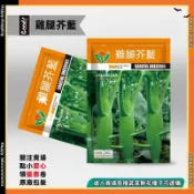 🥦【芥菜種子】雞腿芥藍種子大肉包心芥菜種子脆嫩芥菜種子盆栽陽臺農田菜園種植蔬菜子南北部可種植春秋四季種植蔬菜大全