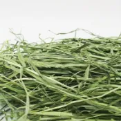【萌寵鮮牧草】陸龜草食飼料原料取自 過篩甜小麥草燕麥草苜蓿提摩西一割二割百慕達調配萌寵牧草餵食天竺鼠豚鼠龍貓兔子牛羊馬