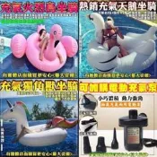 興雲網購【80003/5-181獨角獸.火焰鳥.飛天鵝游泳圈(大號)】充氣床游泳圈沙灘墾丁春納海邊游泳池派對