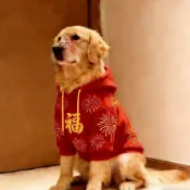 🚛桃園發貨 精品推薦🚛喜慶紅色中大型狗狗衣服秋冬新款金毛拉布拉多邊牧加絨衛衣過年衫