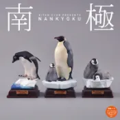 E哥❤日本正版散貨 奇譚 Kitan NTC圖鑑南極大陸生命紀行動物企鵝擺件