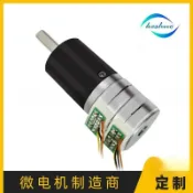 金牌五金工具 廠家25mm雙層疊式微型減速電機馬達12V24V步進行星減速齒輪大扭力 批發