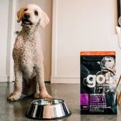 【狗主食】go! 雞肉鮭魚老犬 高肉量系列 無穀 狗飼料 WDJ