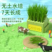 昕購商鋪 48H出貨跨境新款水培貓草盒貓咪零食無土盆栽貓草種子貓薄荷去毛球貓草盆