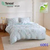 頂級60支100%TENCEL德國奈米銀離子天絲寢具/床包/兩用被/涼被-1