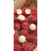 「紅毛丹 每箱10台斤」