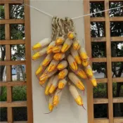 仿真蔬菜串 假蔬菜水果🍀仿真水果蔬菜串批發農家樂裝掛飾假水果掛串大蒜玉米辣椒 仿真裝飾 拍照裝飾