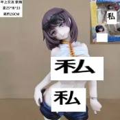 ❤️實拍❤️ SkyTube 年上彼女 PVC 年上女友 29CM 插畫 軟胸 盒裝 公仔 可脫 美少女 紳士手辦 模型