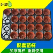 【種植用具】育苗盆 託盤 盆架 正方 圓形 塑料 24孔 12孔 15孔 多肉種植 花盆