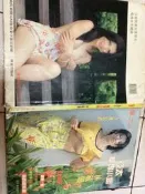 亞太華埠小姐林毓珊（精裝本）