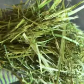 【毛孩專屬牧草堂】降低上火體質調理牧草 苜蓿提摩西一割二割燕麥草甜小麥草百慕達草 溫性草本適合兔子龍貓豚鼠荷蘭豬日常