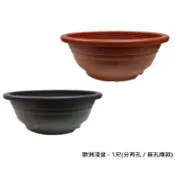 歐洲淺盆 - 1尺(分有孔 / 無孔兩款)