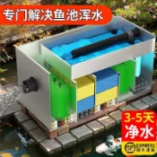 【魚池淨水】魚池過濾器 水循環系統 養魚循環水 庭院水池過濾裝置 淨水設備箱 魚池過濾系統 魚缸過濾