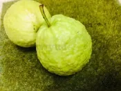芭樂 燕巢芭樂 牛奶芭樂 番石榴 拔辣 新鮮配送 原產地 10斤免運 市長推薦芭樂