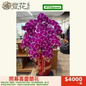 💫豐花花店 網路 花店 婚喪喜慶 開幕 喜慶 蝴蝶蘭 蘭花 花籃 鮮花 盆栽 告別式 雲林 台中 彰化 南投 殯儀館