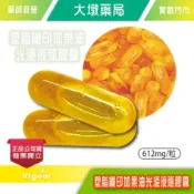 塑脂纖印加果油光漾液態膠囊 612mg/粒 代謝平衡 印加花生油 輔酵素Q10 台灣公司貨 (E2)》大墩藥局