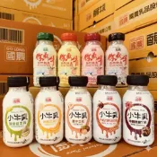 國農保久乳 18入 調味乳 牛乳 牛奶 塑膠瓶身 草莓 麥芽 巧克力 果汁 香蕉 哈密瓜 黑糖 栗子