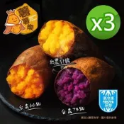 【薯薯樂】台灣冰烤三色地瓜600gx3包｜冷凍即食、綿密香甜、無添加、台農57號（黃金）、73號（紫色）、66號（橘色）、金時(栗子地瓜)一包即享四種風味