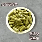 【尼拜約草本植栽所】憂遁草複合 100顆 無噴藥(憂遁草+尼基羅草) 小尖葉 優遁草 沙巴蛇草 降糖草 富貴菜 優盾草