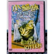 影音大批發-Y78-086-正版DVD-電影【小貓咪歷險記 便利袋裝】-國際大島伊旺波波普溫馨感人 口碑代表作