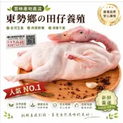 當天出貨 滿990免運 生鮮鴨 全鴨1.9公斤 全鴨 紅面番鴨 薑母鴨 烤鴨 當歸鴨 冷凍鴨 太空鴨 鴨肉 冷凍食品