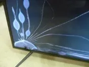 三洋SMT-55MU1
