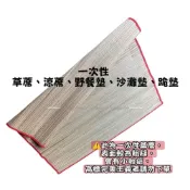 (店+)一次性草蓆 4.5尺X6.5尺 海灘 沙灘席 野餐墊 涼蓆 涼墊 藺草蓆 編織 宗教 拜拜 擺攤
