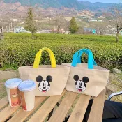 Anna S ANNAS 正韓 米奇 小包 帆布包 手提包 購物袋 便當袋 帆布 麻布 包包 卡通 可愛 網紅 韓國